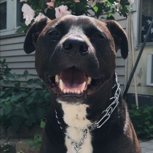 Meet your Posher, Clara